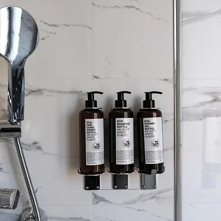 מלון Petit Palace Arana בילבאו