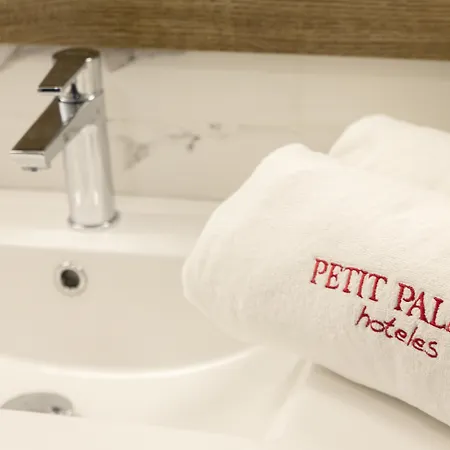 Hotel Petit Palace Arana