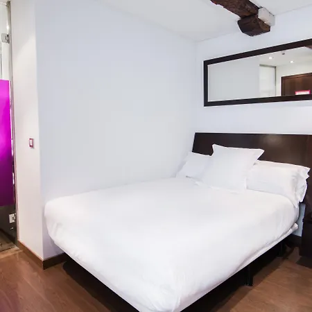 Hotel Petit Palace Arana