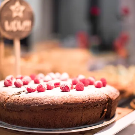 Petit Palace Arana מלון