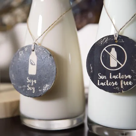 Petit Palace Arana מלון