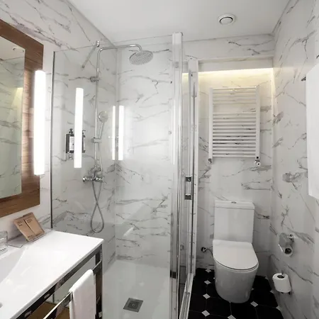 Hotel Petit Palace Arana 3*