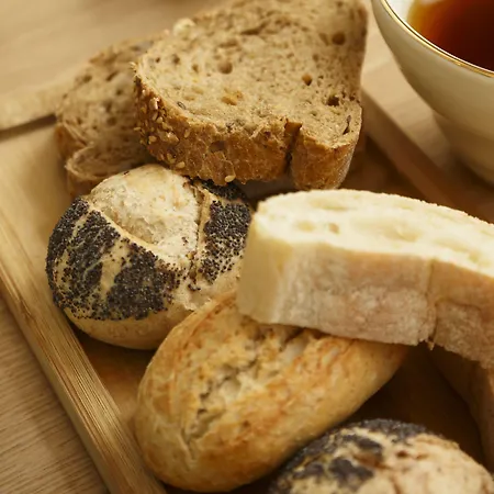 Petit Palace Arana Hotell