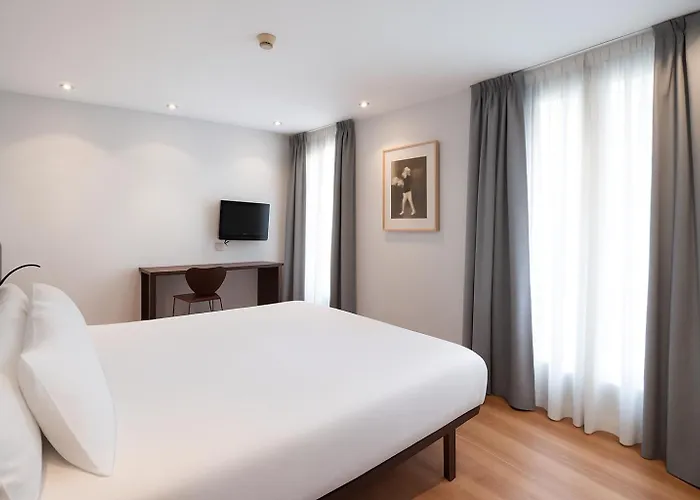 Hotel Petit Palace Arana