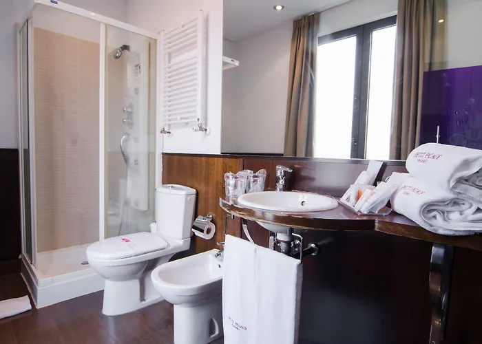 Petit Palace Arana Hotel 3*