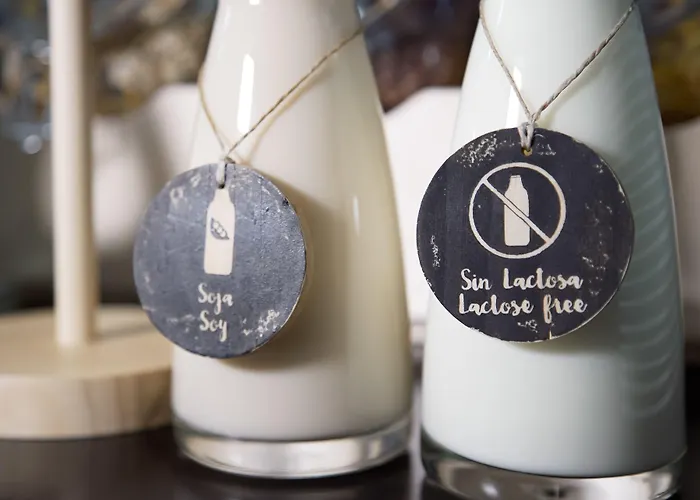 Petit Palace Arana Hotel