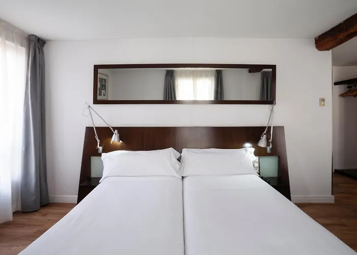 Hotel Petit Palace Arana 3*