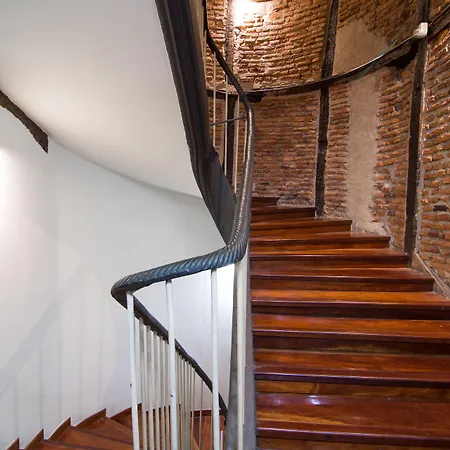 Hotel Petit Palace Arana 3*