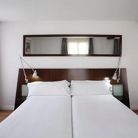 Hotel Petit Palace Arana 3*