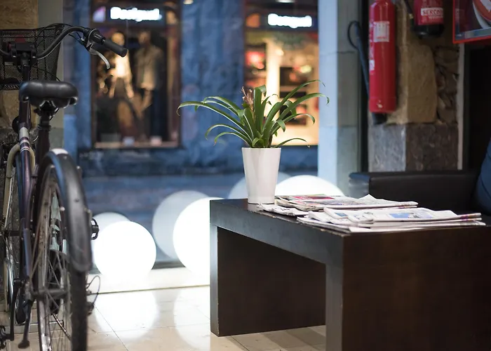 Hotel Petit Palace Arana